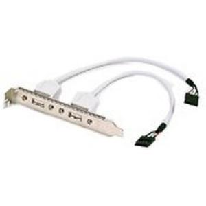 Belkin Dual-Port USB Motherboard Adapter Cable (2 USB-A to 8/10-Pin Header)