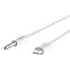 Belkin Speaker and Headphone Splitter, 3.5mm Audio Jack Adapter, Dual Audio Output for Earbuds, Headphones, and Speakers for Sharing Music & Videos, Compatible with iPhones, Laptops, & Tablets – White(White)